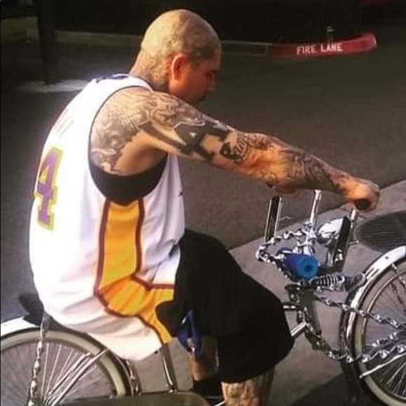 Meet your Posher, Rico - Picture 1 of 1